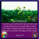 Filename=OSEAS_1-10.jpg
Filesize=164KiB
Dimensions=720x720
Date added=Aug 15, 2021 OSEAS_1-10.jpg