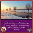 Filename=normal_GALATAS_5-1~0~3.jpg
Filesize=42KiB
Dimensions=400x400
Date added=Aug 15, 2021 normal_GALATAS_5-1~0~3.jpg