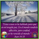 Filename=normal_JUAN_16-33~3.jpg
Filesize=52KiB
Dimensions=400x400
Date added=Aug 15, 2021 normal_JUAN_16-33~3.jpg