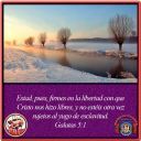 Filename=thumb_GALATAS_5-1~3.jpg
Filesize=5KiB
Dimensions=128x128
Date added=Aug 15, 2021 thumb_GALATAS_5-1~3.jpg