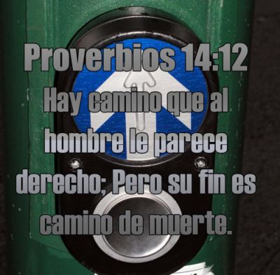 Proverbios 14:12
